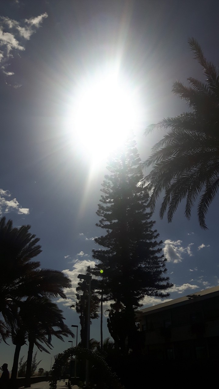sunny