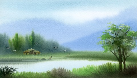 Illustration and Painting