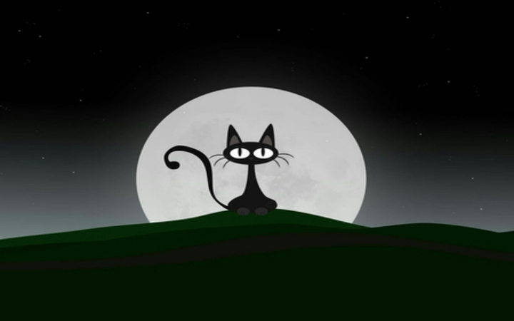 Moon Cat