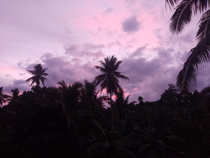 Pink sky