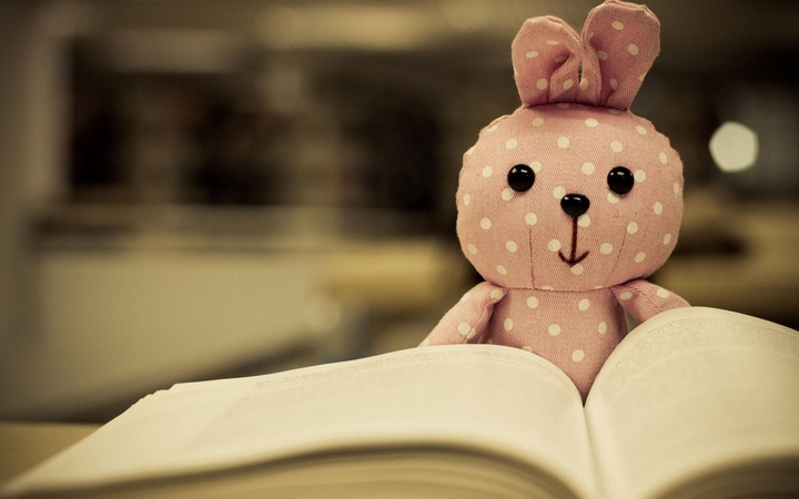 Bunny doll book