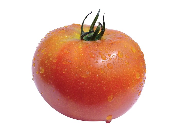 음식이미지