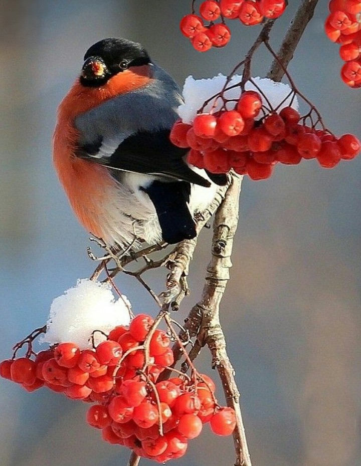 Nature