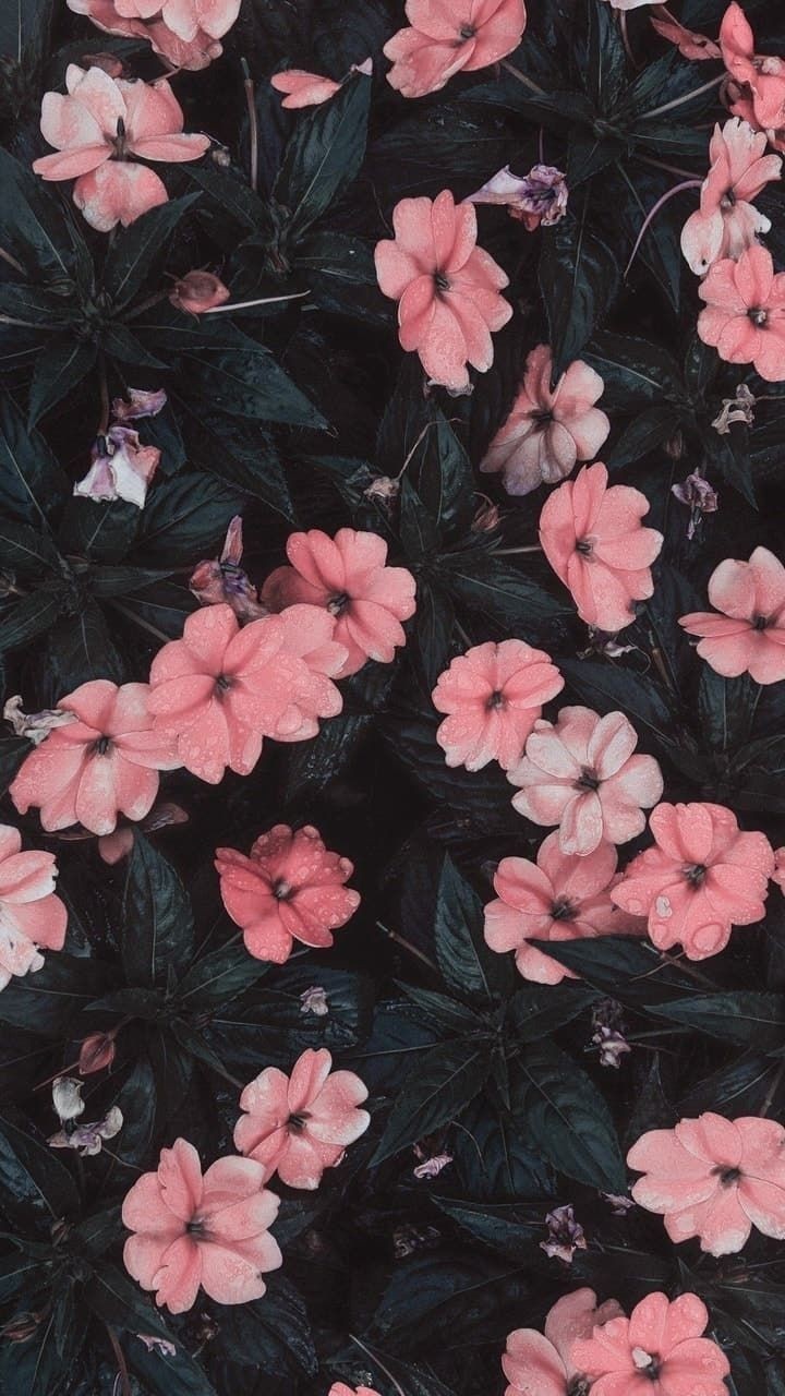 а