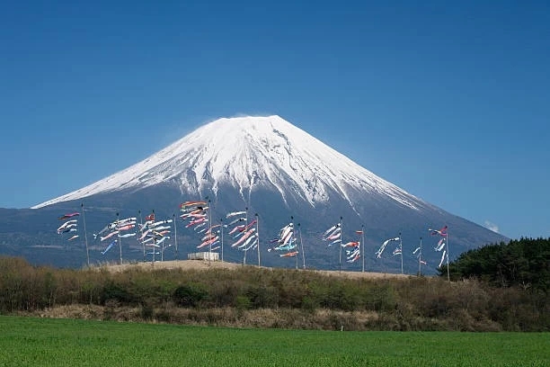 snow-capped Mt Fuji & carp streamers