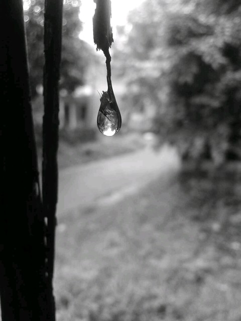monochrome love ❤ water drope