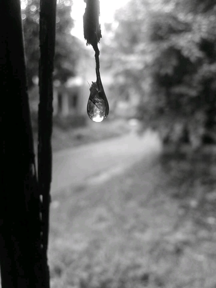 monochrome love ❤ water drope
