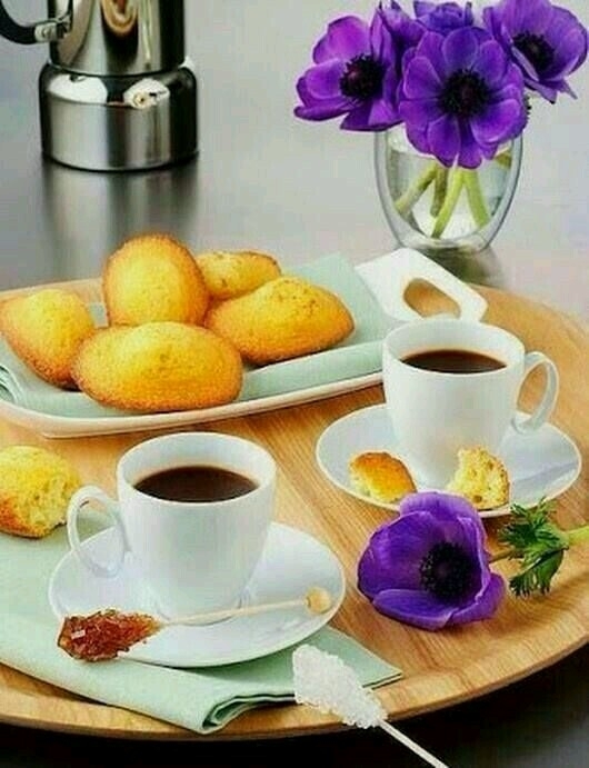 bom dia
