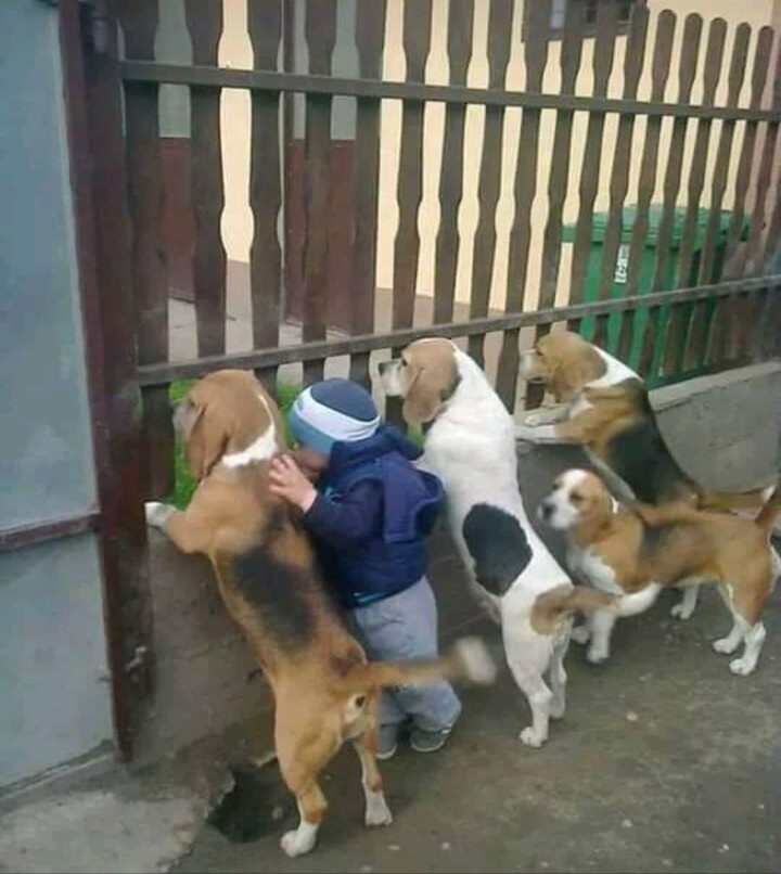Look there