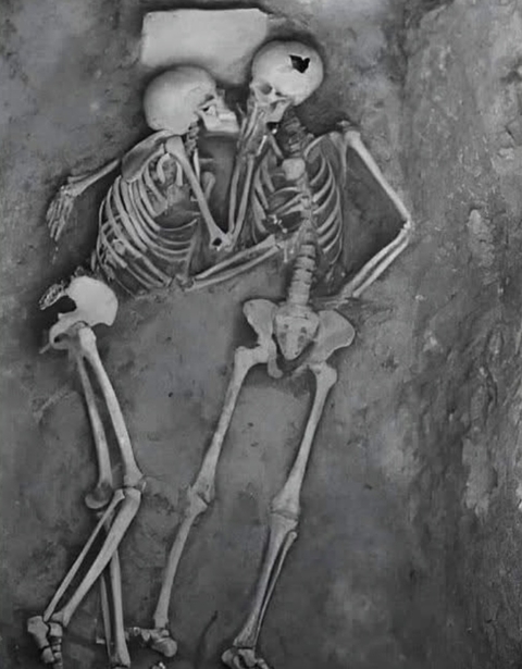 Amor