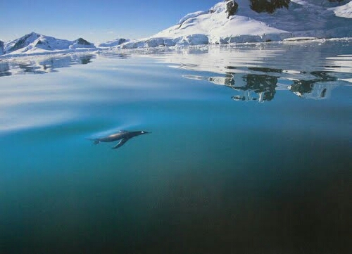 sea