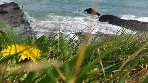 Irish sea