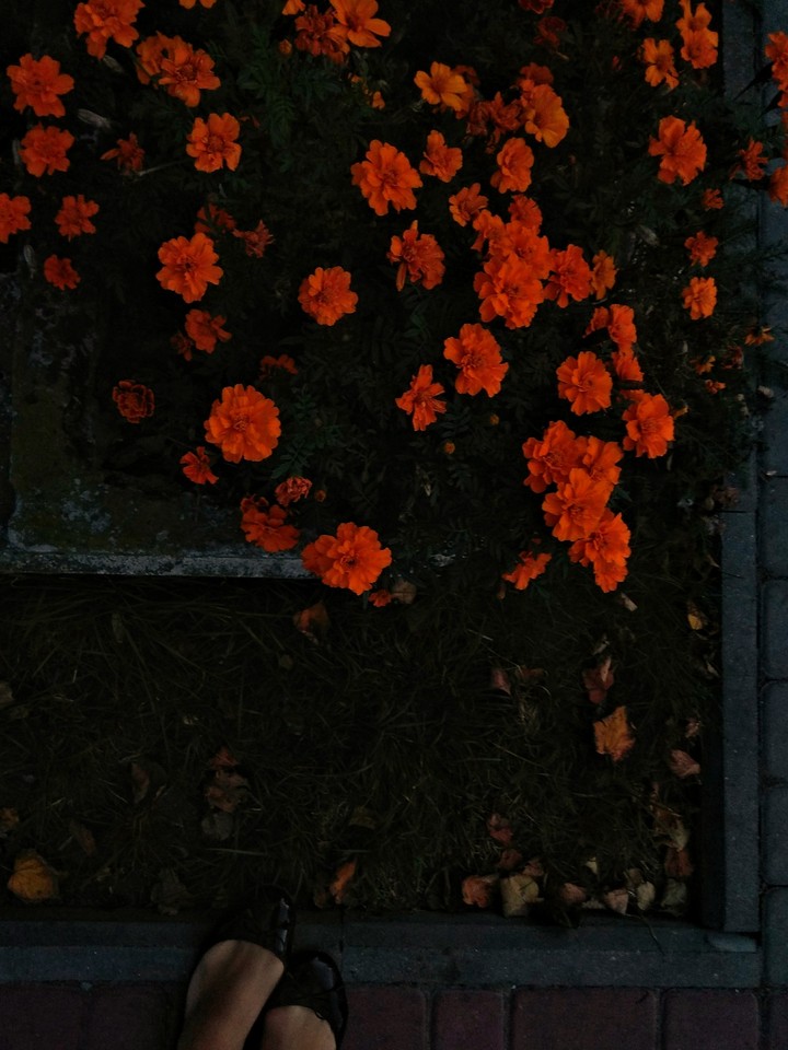 Luminescent flower