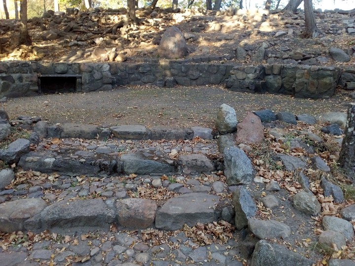 Ruhezohne.