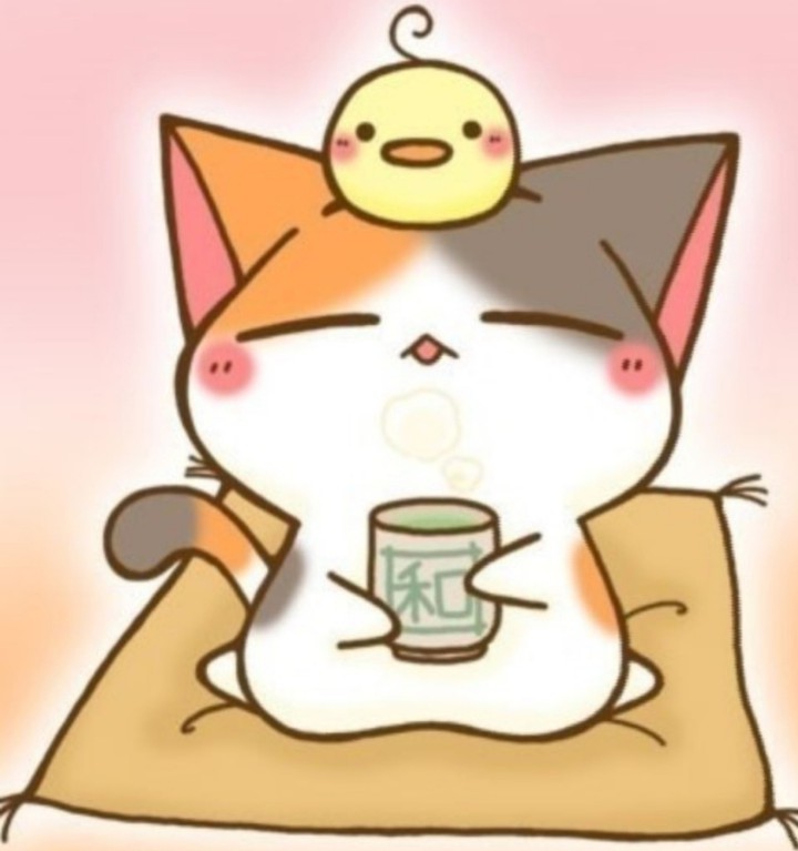 느긋 냥.