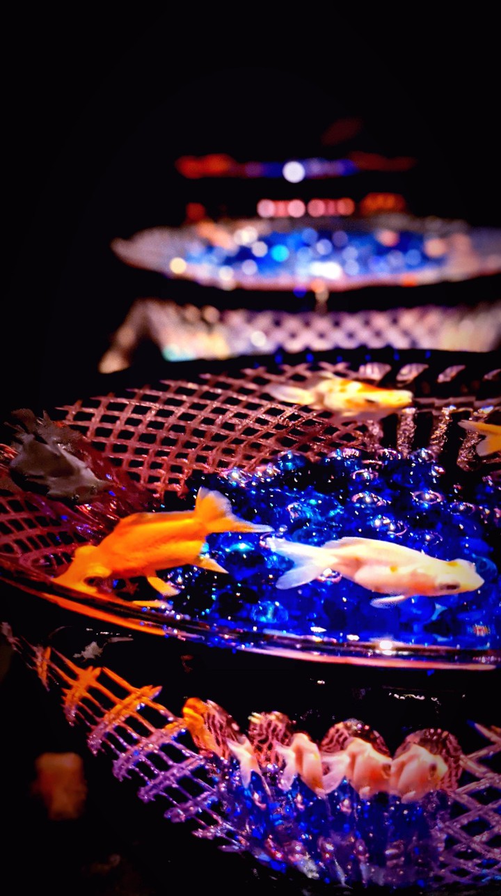 金魚