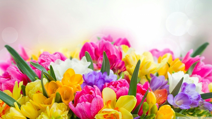 colourful...