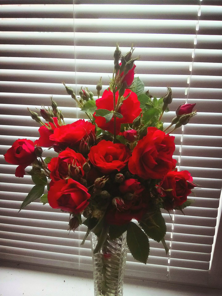 roses