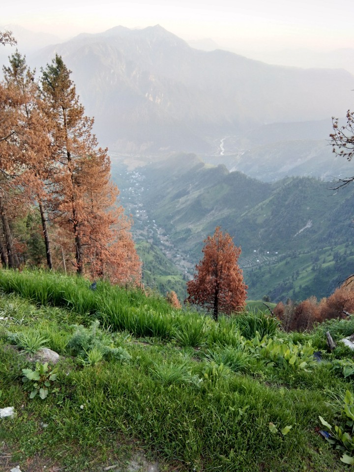 Nature