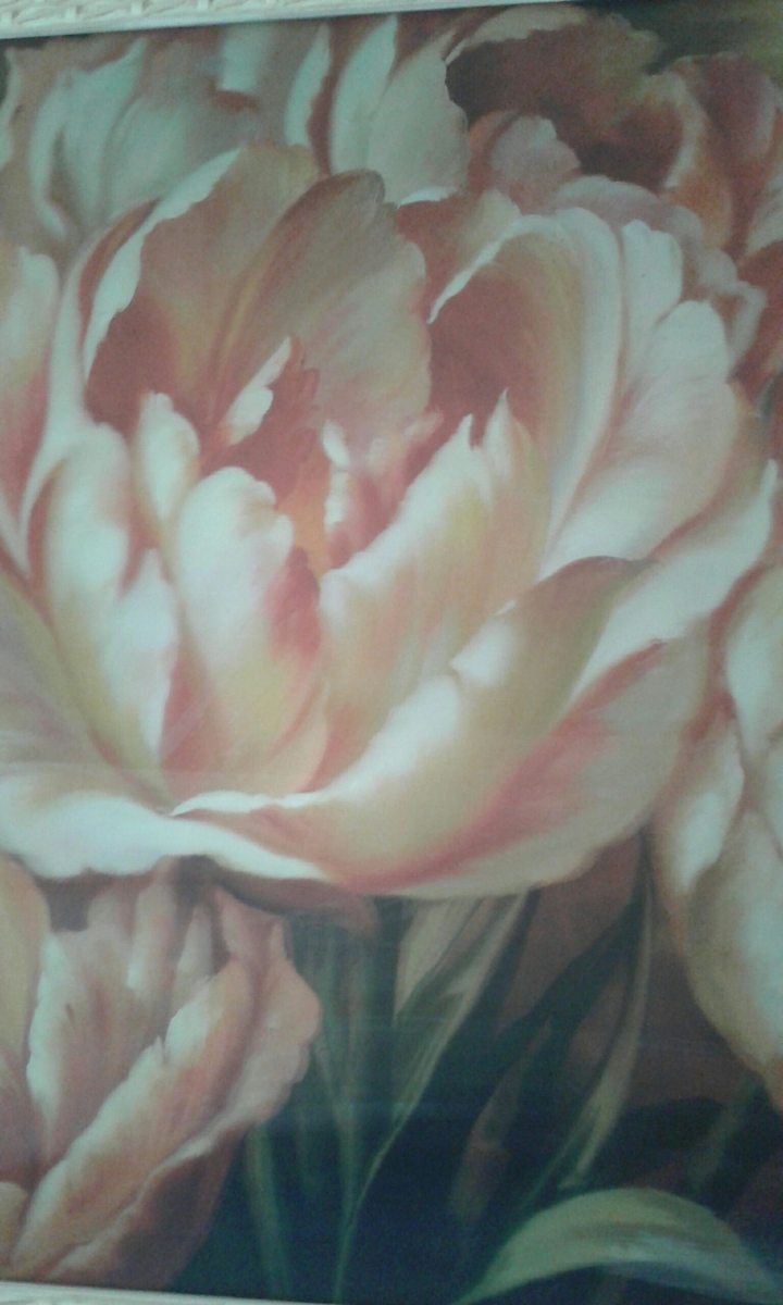 rosa