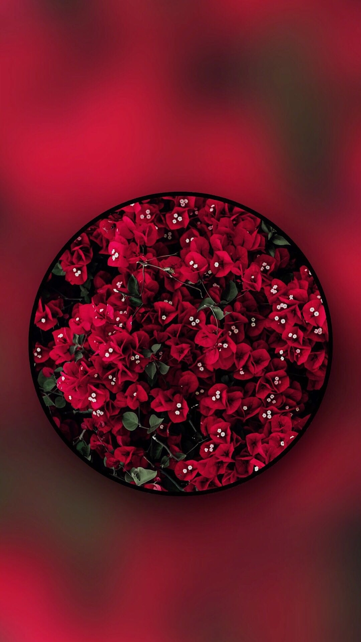 Circled Red Flowers