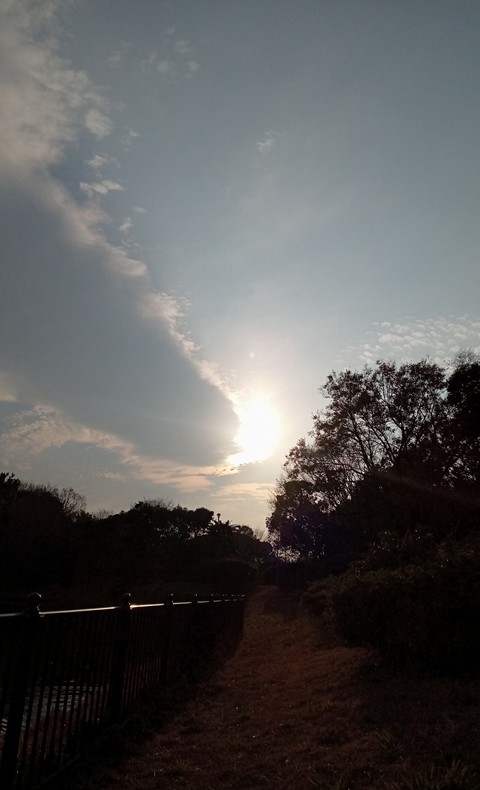 sun