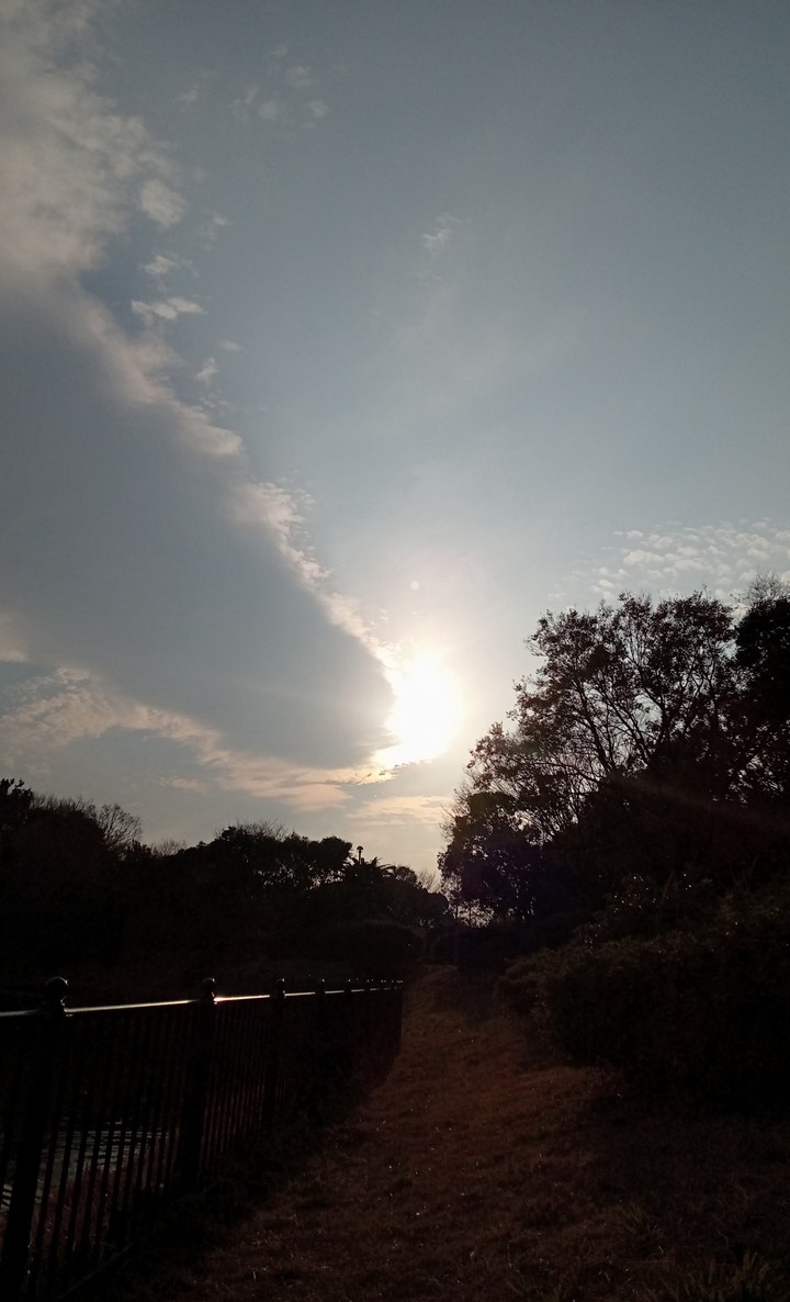sun