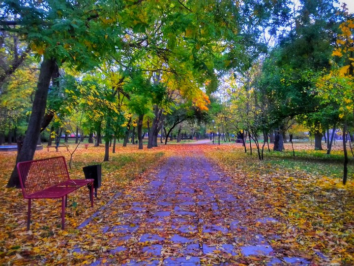 Mood autumn