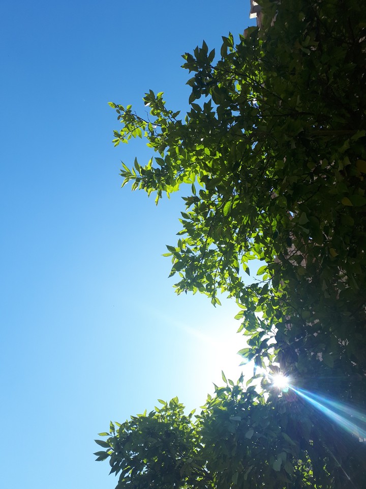 nature