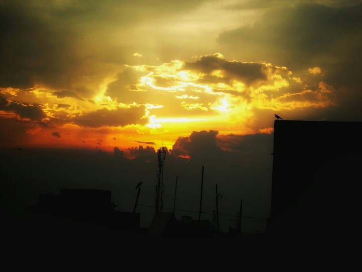 beauty of nature