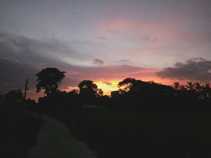 #ari_clicked