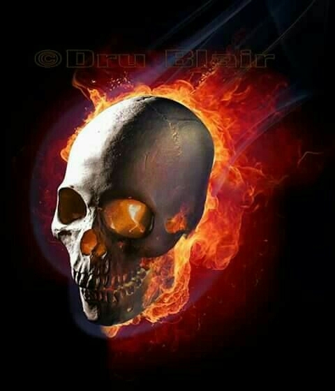 Skull