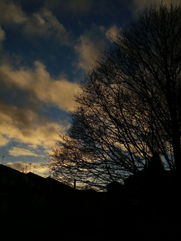 When the sky blushed.