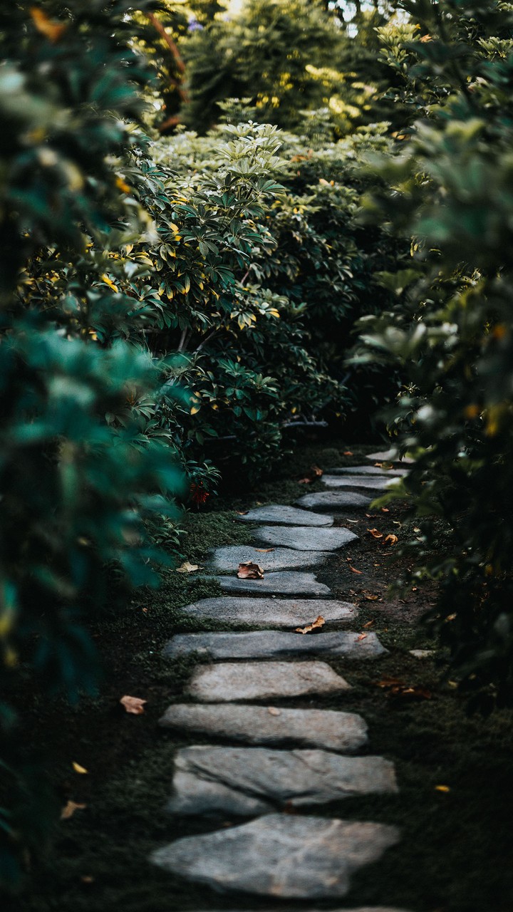 Way