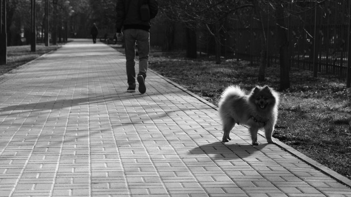 Walking