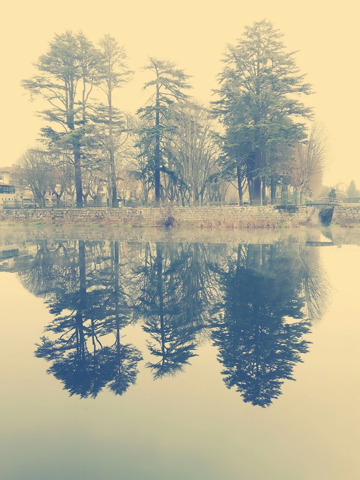 Reflex