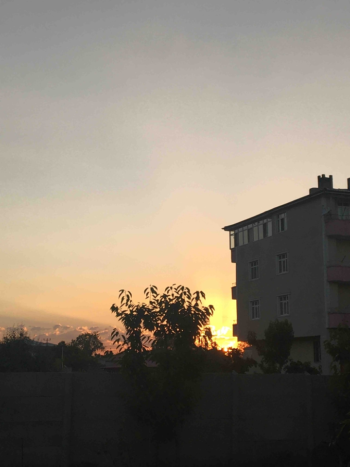 sun