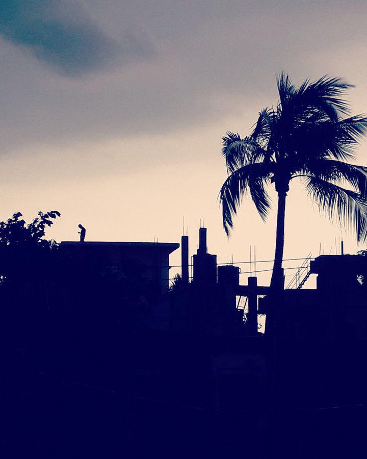 dark