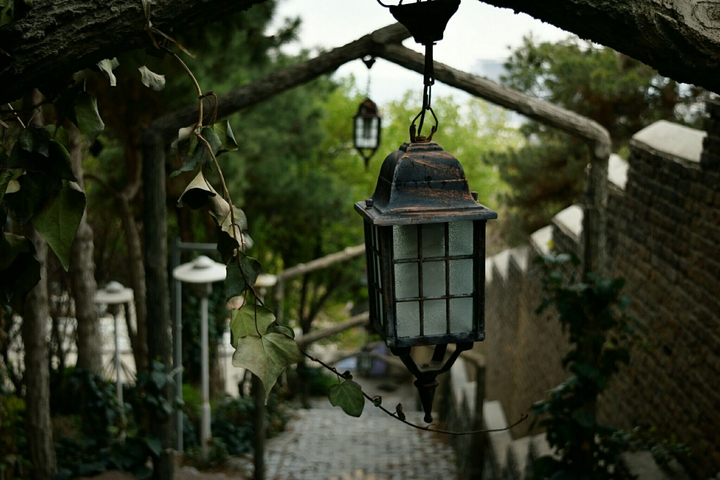 Light