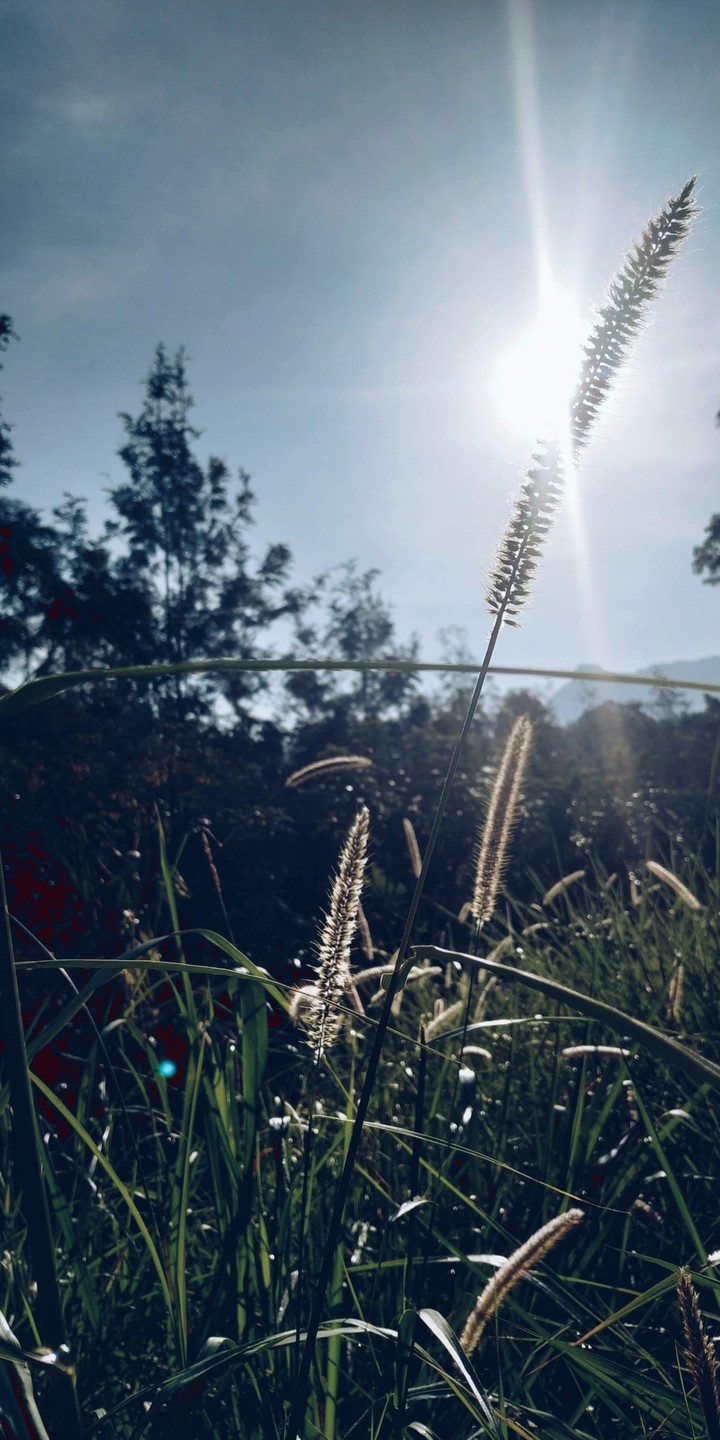 nature and myself
