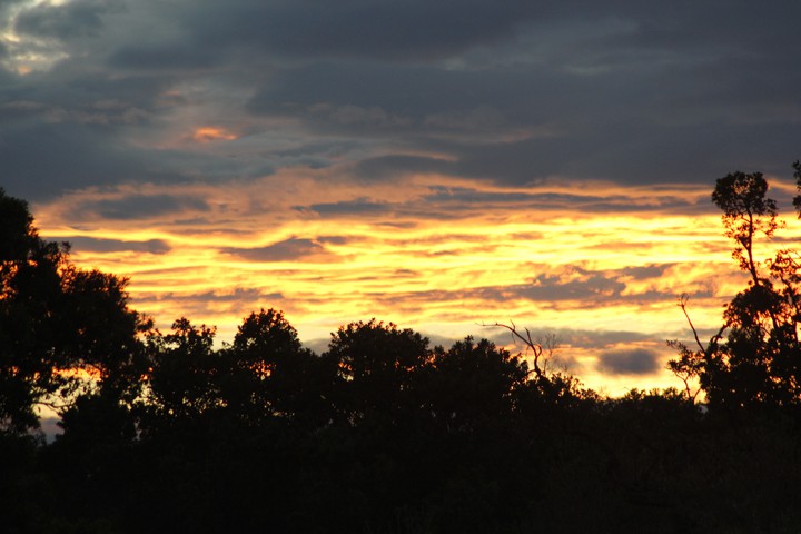 A Masai Mara morning