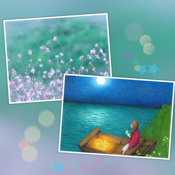 my nice collage...