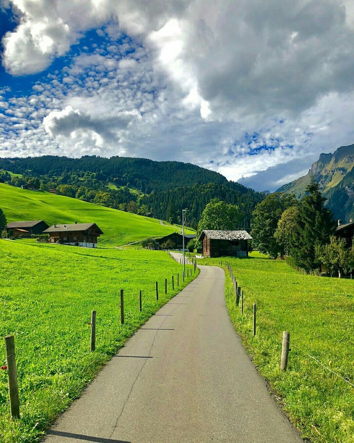 Swiss