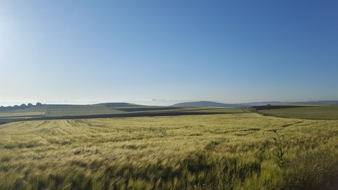sfondi sky, agriculture