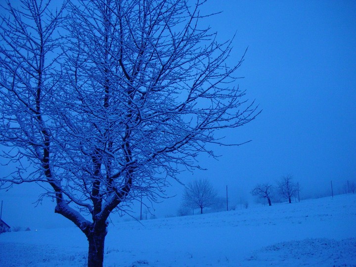 winter is here