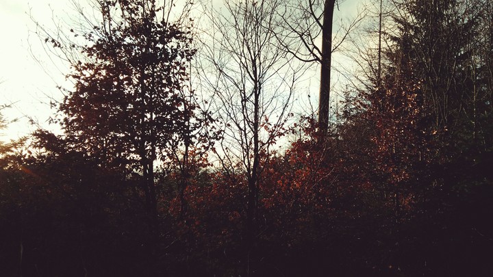 Fall