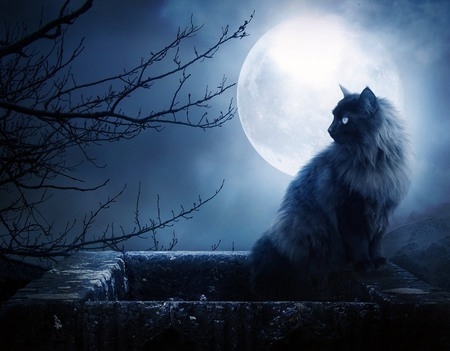 spooky moon