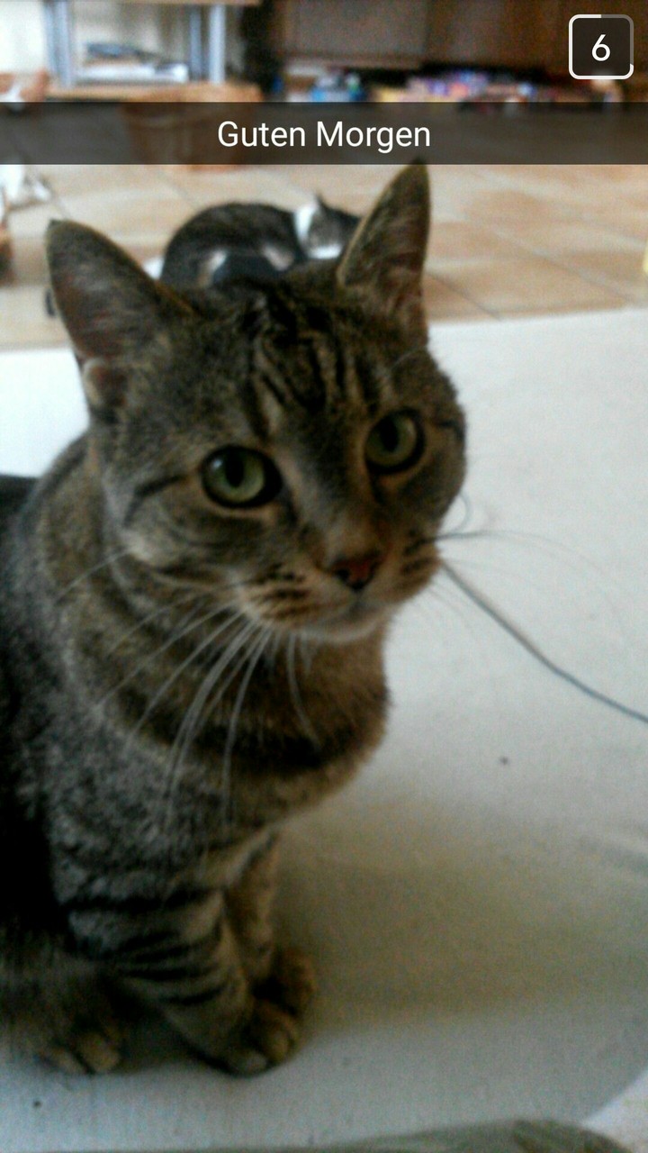 isnt he cute?