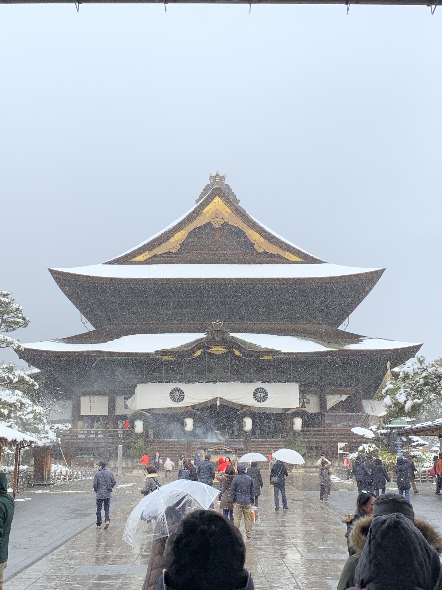 ZENKOUJI Japanese temple
