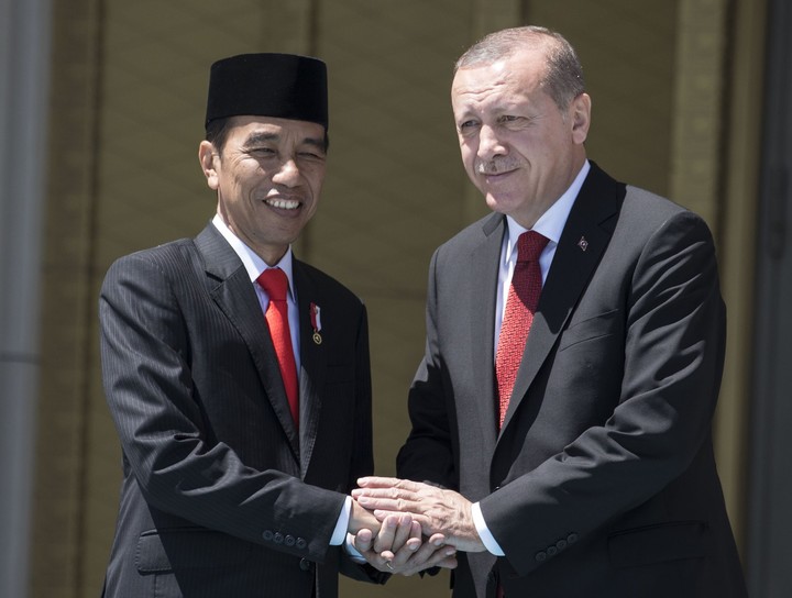 Recep Tayyip Erdoğan ve Joko Widodo